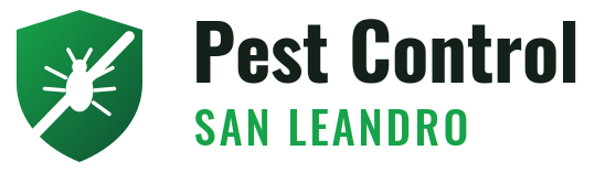 San Leandro Pest Control